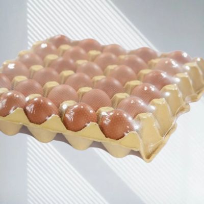 Egg Tray POF Shrink Wrap Film Micro Perforated Polyolefin Heat Shrink Wrap Film Shrink POF Film