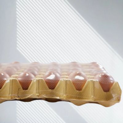 Egg Tray POF Shrink Wrap Film Micro Perforated Polyolefin Heat Shrink Wrap Film Shrink POF Film
